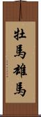 牡馬 Scroll
