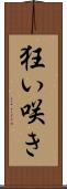 狂い咲き Scroll