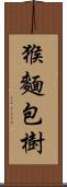 猴麵包樹 Scroll