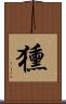 獯 Scroll