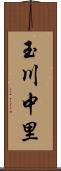 玉川中里 Scroll