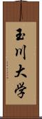 玉川大学 Scroll