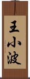 王小波 Scroll