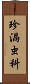 珍渦虫科 Scroll