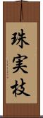 珠実枝 Scroll