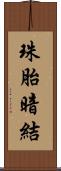 珠胎暗結 Scroll