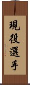 現役選手 Scroll