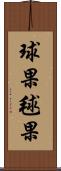 球果 Scroll