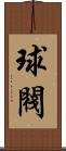球閥 Scroll