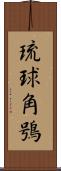 琉球角鴞 Scroll