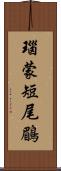 瑙蒙短尾鶥 Scroll