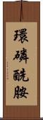 環磷酰胺 Scroll