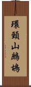 環頸山鷓鴣 Scroll