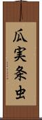 瓜実条虫 Scroll
