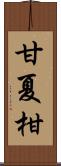 甘夏柑 Scroll