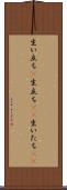 生い立ち(P) Scroll