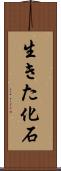 生きた化石 Scroll