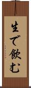生で飲む Scroll