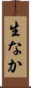 生なか Scroll