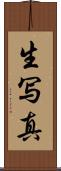 生写真 Scroll
