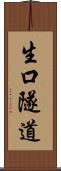 生口隧道 Scroll