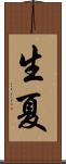 生夏 Scroll