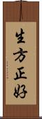 生方正好 Scroll