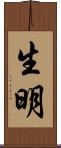 生明 Scroll