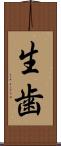 生歯 Scroll