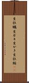 生牡蠣 Scroll