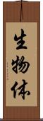 生物体 Scroll