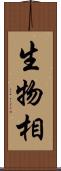 生物相 Scroll