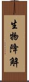 生物降解 Scroll