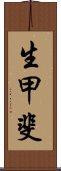 生甲斐 Scroll