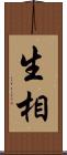 生相 Scroll