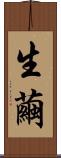 生繭 Scroll