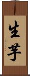 生芋 Scroll