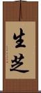 生芝 Scroll