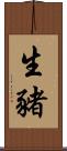 生豬 Scroll