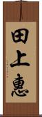 田上惠 Scroll