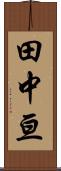 田中亘 Scroll