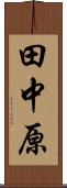 田中原 Scroll