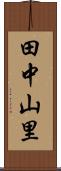 田中山里 Scroll