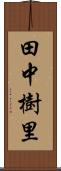 田中樹里 Scroll