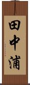 田中浦 Scroll