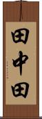 田中田 Scroll