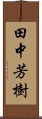 田中芳樹 Scroll