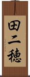 田二穂 Scroll