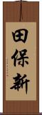 田保新 Scroll