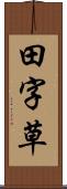 田字草 Scroll